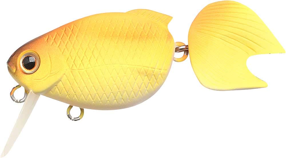 Amazon.co.jp: ラッキークラフト(LUCKY CRAFT)金魚・姉金60F Amazon.co.jp: ラッキークラフト(LUCKY CRAFT)金魚・姉金60F